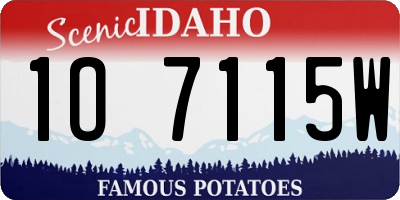 ID license plate 1O7115W