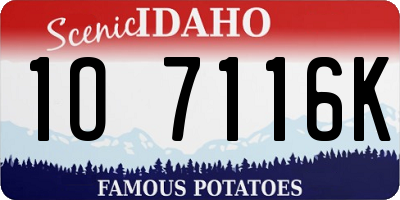 ID license plate 1O7116K