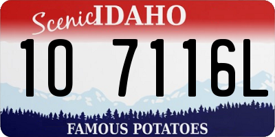 ID license plate 1O7116L