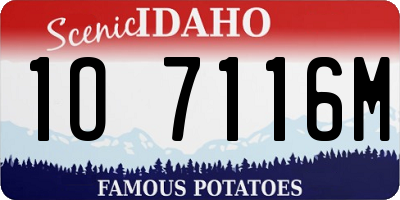 ID license plate 1O7116M