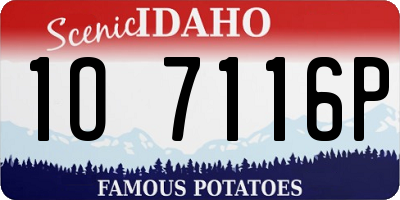 ID license plate 1O7116P