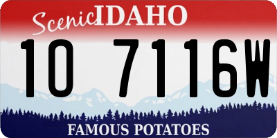 ID license plate 1O7116W