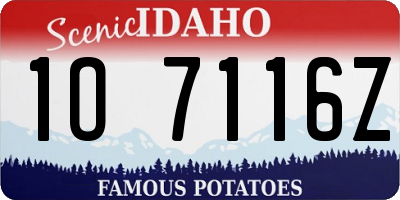 ID license plate 1O7116Z