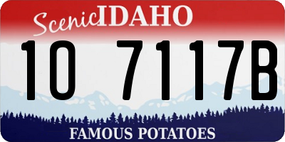 ID license plate 1O7117B