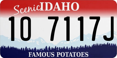 ID license plate 1O7117J