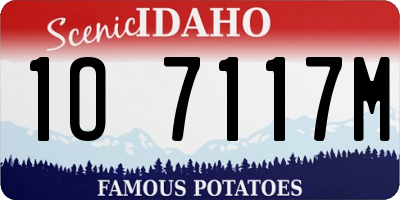 ID license plate 1O7117M