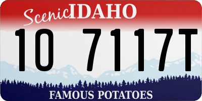 ID license plate 1O7117T