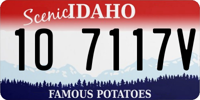 ID license plate 1O7117V