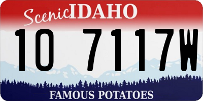ID license plate 1O7117W