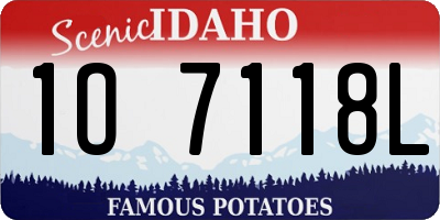 ID license plate 1O7118L