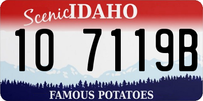 ID license plate 1O7119B