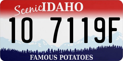 ID license plate 1O7119F
