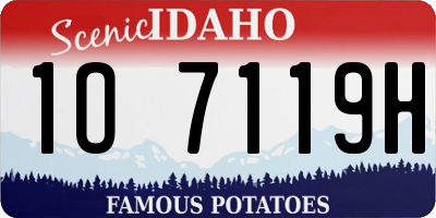 ID license plate 1O7119H