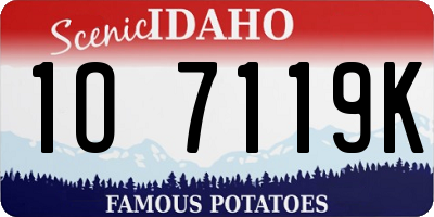 ID license plate 1O7119K
