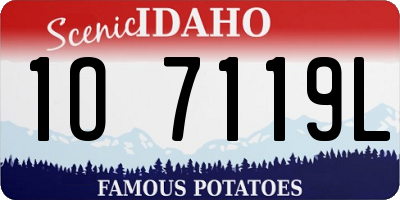 ID license plate 1O7119L