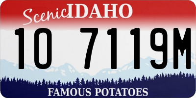ID license plate 1O7119M