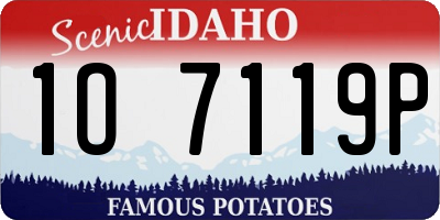 ID license plate 1O7119P