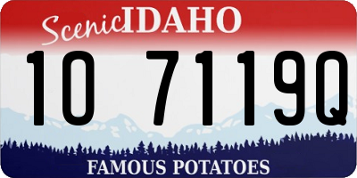 ID license plate 1O7119Q
