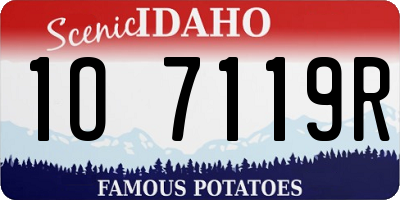 ID license plate 1O7119R