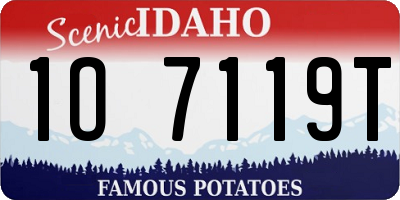 ID license plate 1O7119T