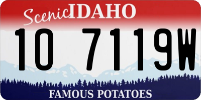ID license plate 1O7119W