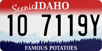 ID license plate 1O7119Y
