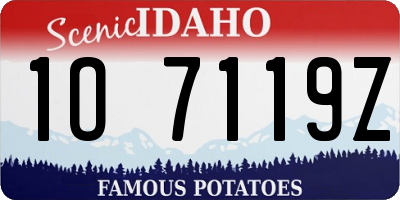 ID license plate 1O7119Z
