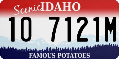ID license plate 1O7121M