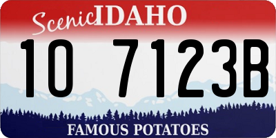 ID license plate 1O7123B