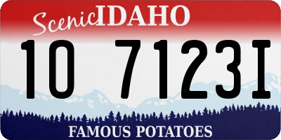 ID license plate 1O7123I