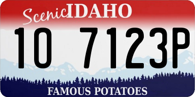 ID license plate 1O7123P