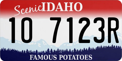 ID license plate 1O7123R