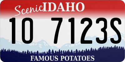 ID license plate 1O7123S