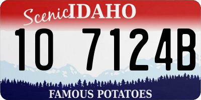 ID license plate 1O7124B