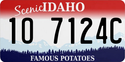 ID license plate 1O7124C