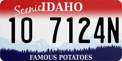 ID license plate 1O7124N