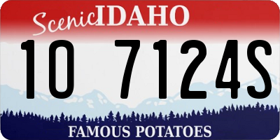 ID license plate 1O7124S
