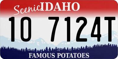 ID license plate 1O7124T