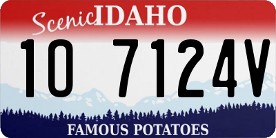 ID license plate 1O7124V