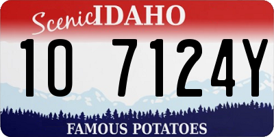 ID license plate 1O7124Y