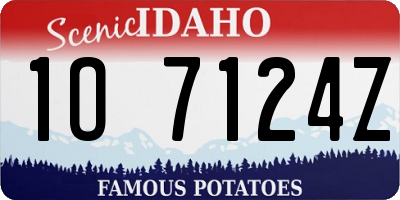 ID license plate 1O7124Z