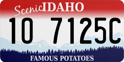 ID license plate 1O7125C