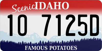 ID license plate 1O7125D