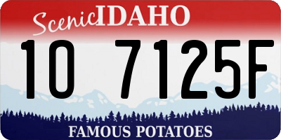 ID license plate 1O7125F