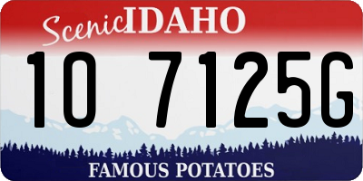 ID license plate 1O7125G