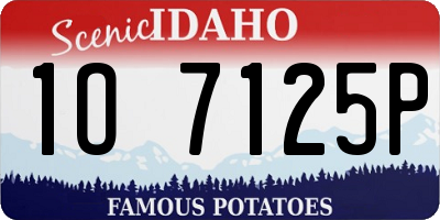 ID license plate 1O7125P