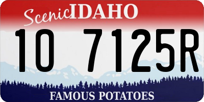 ID license plate 1O7125R