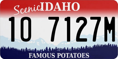 ID license plate 1O7127M