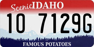 ID license plate 1O7129G