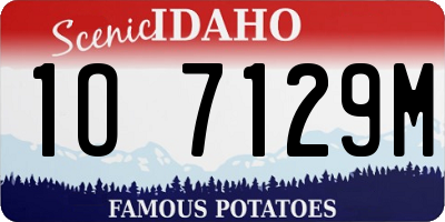 ID license plate 1O7129M